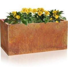 Flower Baskets And Planters